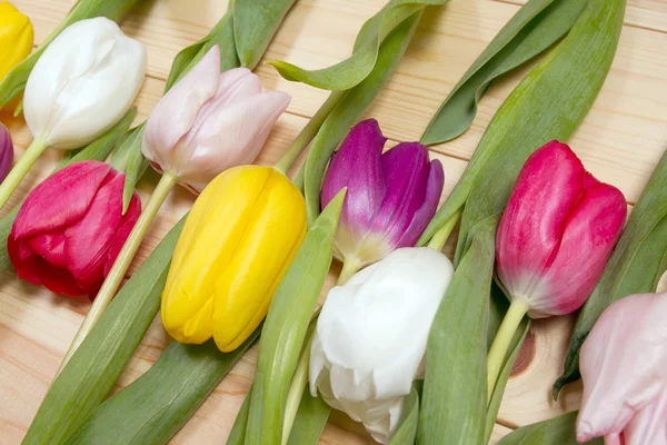 Buquê Tulipas Coloridas Chão Presente Para Dia Mulheres Primavera Tulipas — Fotografia de Stock