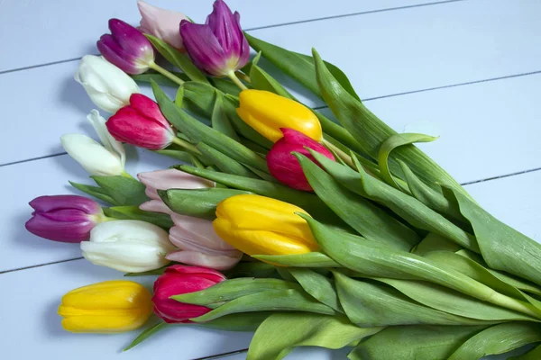 Bouquet Tulipes Couleur Sur Sol Cadeau Pour Une Journée Des — Photo