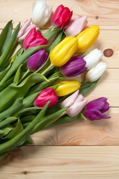 Buquê Tulipas Coloridas Chão Presente Para Dia Mulheres Primavera Tulipas — Fotografia de Stock