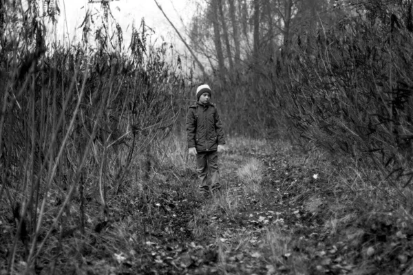 Child Was Lost in the Forest. Little Boy Lost his Way in the Forest. Sad Boy walks through the forest alone