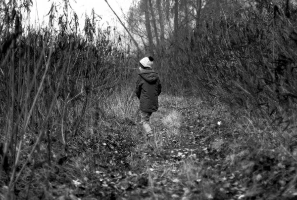 Criança Estava Perdida Floresta Menino Perdeu Caminho Floresta Rapaz Triste — Fotografia de Stock