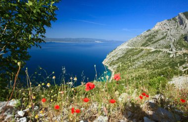 Gelincikli Güzel Dağ Koyu