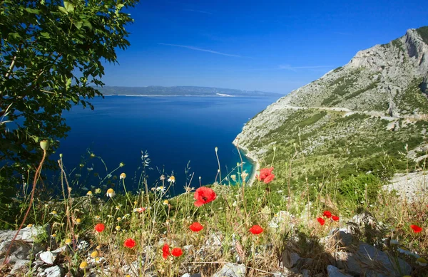 Gelincikli Güzel Dağ Koyu