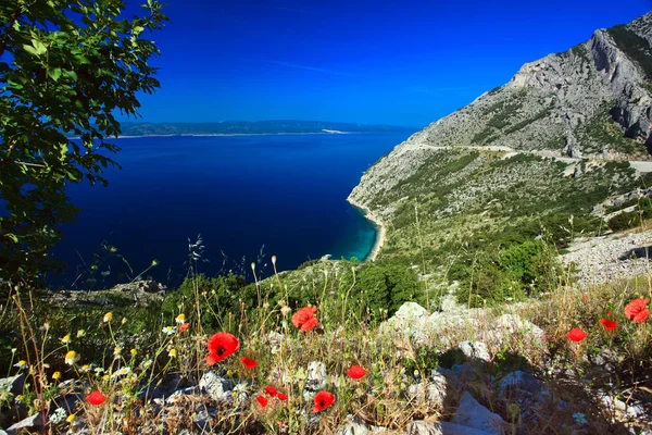 Hermosa bahía de montaña con amapolas — Foto de Stock