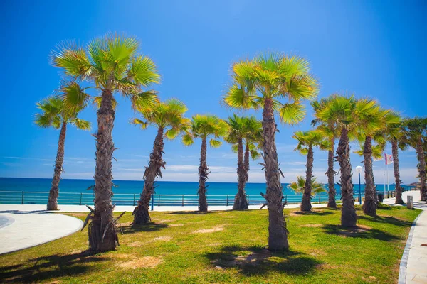Vistas al mar azul Playa Flamenca, Orihuela Costa, Alicante, España — Foto de Stock