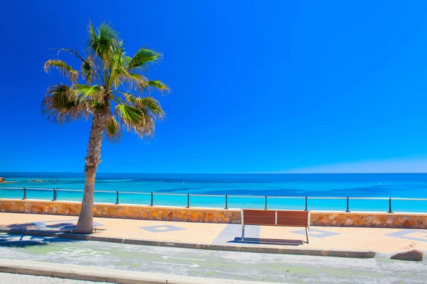 Palma Mar Terraplén Relajan Verano — Foto de Stock