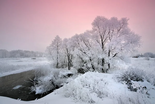 Paesaggio Invernale Con Fiume Alberi — Foto Stock