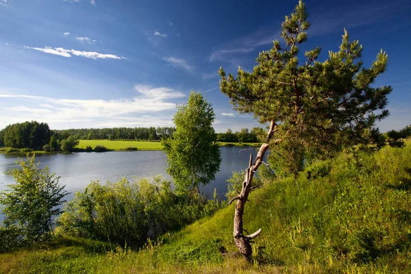 The relax landscape, summer on the river, silence