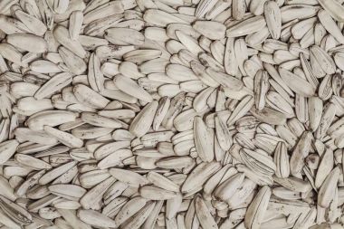 Beyaz Ay çekirdeği arka plan