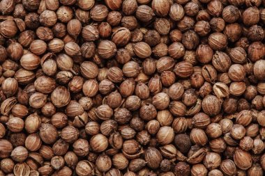 kişniş tohumu makro fotoğraf