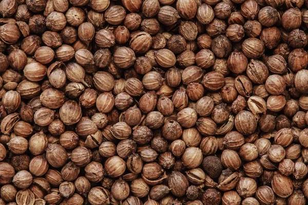 kişniş tohumu makro fotoğraf