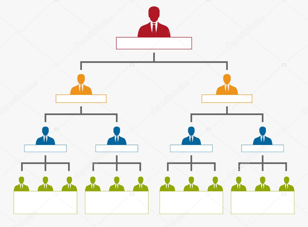 hierarchy in company, organization chart tree