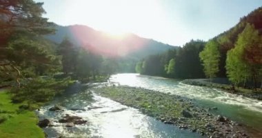 4 k Uhd havadan görünümü. Düşük uçuş üzerinde taze soğuk dağ nehir kıyısında güneşli yaz sabahı.