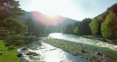 4 k Uhd havadan görünümü. Düşük uçuş üzerinde taze soğuk dağ nehir kıyısında güneşli yaz sabahı.