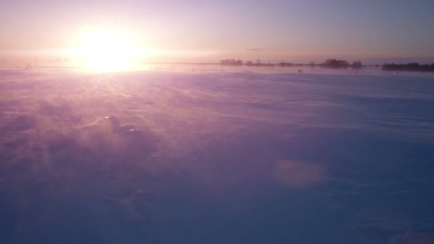 Snöstorm, vind och sol. Kalla Arktis. Frysta drivorna. — Stockvideo