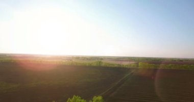 4 k hava manzara. Düşük uçuş yeşil ve sarı buğday kırsal alanın üzerine.