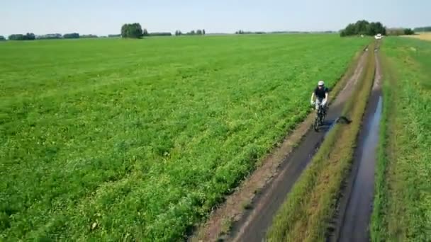 AERIAL: Young man cycling on bicycle at rural road through green and yellow field. — Stock Video