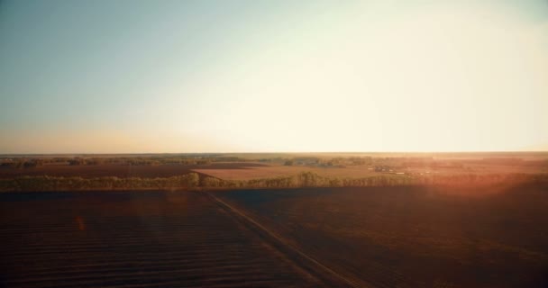 Vista aérea de 4k. Bajo vuelo sobre campo rural de trigo verde y amarillo . — Vídeo de stock