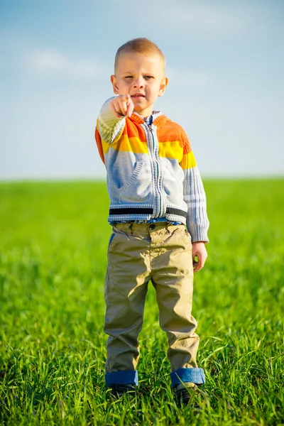 Portrait of happy joyful beautiful little boy outdoor at countryside. Pointing concept. — Stock Photo, Image