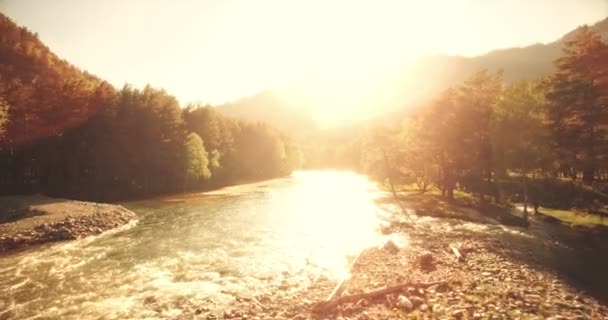 Vue aérienne 4k UHD. Vol bas au-dessus d'une rivière de montagne fraîche et froide au matin ensoleillé d'été . — Video