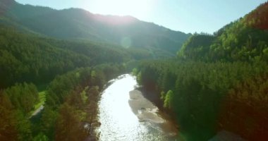 4 k Uhd havadan görünümü. Düşük uçuş üzerinde taze soğuk dağ nehir kıyısında güneşli yaz sabahı.