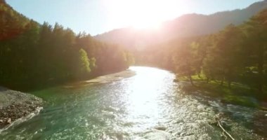 4 k Uhd havadan görünümü. Düşük uçuş üzerinde taze soğuk dağ nehir kıyısında güneşli yaz sabahı.