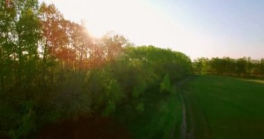 4 k hava manzara. Düşük uçuş yeşil ve sarı buğday kırsal alanın üzerine.