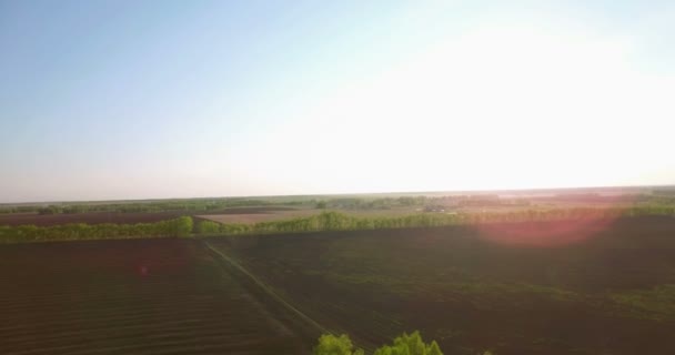 Vista aérea 4k. Vôo baixo sobre campo rural de trigo verde e amarelo . — Vídeo de Stock