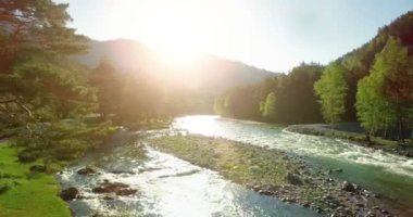 4 k Uhd havadan görünümü. Düşük uçuş üzerinde taze soğuk dağ nehir kıyısında güneşli yaz sabahı.