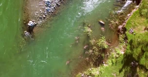 Vue aérienne 4k UHD. Vol bas au-dessus d'une rivière de montagne fraîche et froide au matin ensoleillé d'été .
