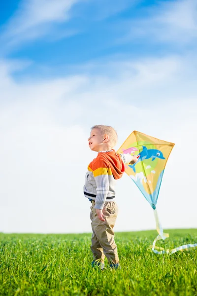 Young boy playing with his kite in a green field. — Stock Photo, Image