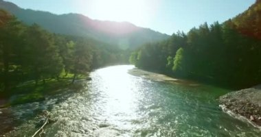 4 k Uhd havadan görünümü. Düşük uçuş üzerinde taze soğuk dağ nehir kıyısında güneşli yaz sabahı.