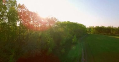 4 k hava manzara. Düşük uçuş yeşil ve sarı buğday kırsal alanın üzerine.