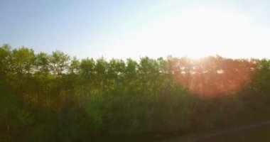 4 k hava manzara. Düşük uçuş yeşil ve sarı buğday kırsal alanın üzerine.