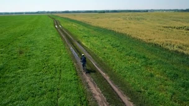 항공: 젊은 남자 녹색과 노란색 필드를 통해 시골도 자전거에 자전거. — 비디오