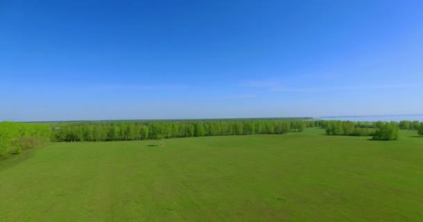 4 k luchtfoto. Lage vlucht over groene en gele rural tarweveld. — Stockvideo