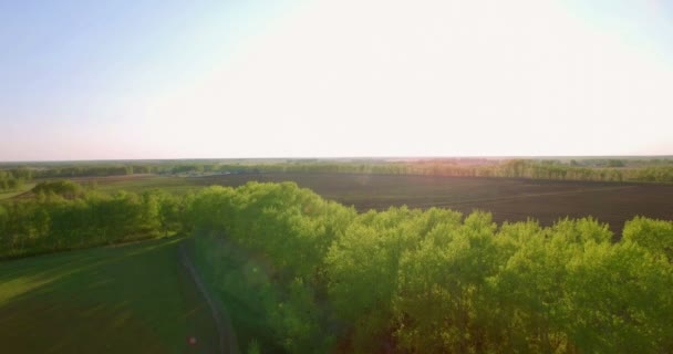 Vista aérea de 4k. Bajo vuelo sobre campo rural de trigo verde y amarillo . — Vídeo de stock