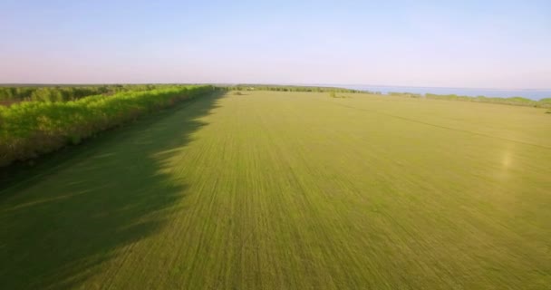 Vista aérea de 4k. Bajo vuelo sobre campo rural de trigo verde y amarillo . — Vídeos de Stock