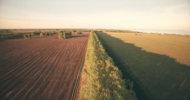 4 k letecký pohled. Nízký let po zelené a žluté pšeničné venkovské oblasti. — Stock video