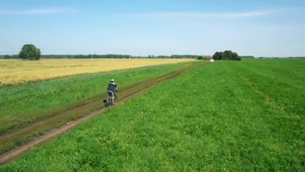 AERIAL: Young man cycling on bicycle at rural road through green and yellow field. — Stock Video