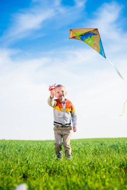 Genç çocuk onun uçurtma yeşil alan ile oynarken.