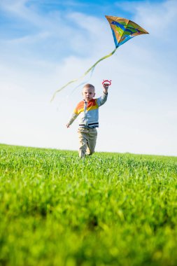 Genç çocuk onun uçurtma yeşil alan ile oynarken.