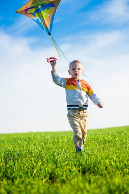 Genç çocuk onun uçurtma yeşil alan ile oynarken.