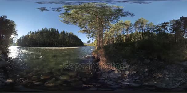 Виртуальная реальность 4K 360: река плывет по скалам в этом красивом лесу — стоковое видео