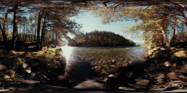 4k 360 Vr Virtual Reality av en flod rinner över stenar i denna vackra skog — Stockvideo