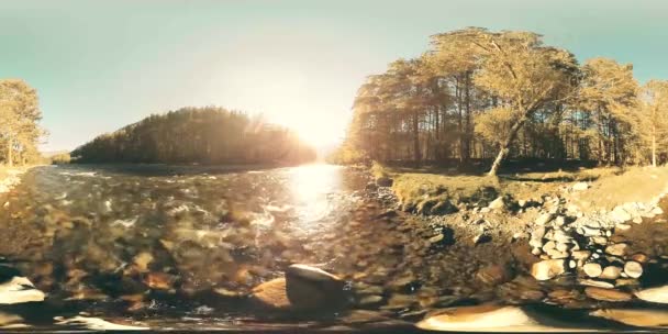 4K 360 VR La realidad virtual de un río fluye sobre rocas en este hermoso bosque — Vídeo de stock