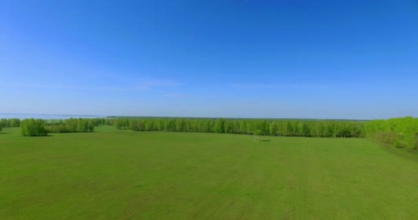 4 k luchtfoto. Lage vlucht over groene en gele rural tarweveld. — Stockvideo