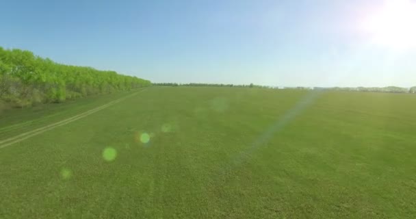 Vista aérea de 4k. Bajo vuelo sobre campo rural de trigo verde y amarillo . — Vídeos de Stock