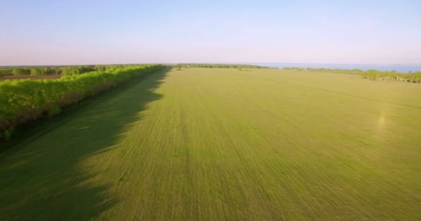 Vista aérea de 4k. Bajo vuelo sobre campo rural de trigo verde y amarillo . — Vídeos de Stock