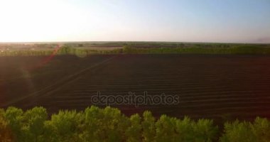 4 k hava manzara. Düşük uçuş yeşil ve sarı buğday kırsal alanın üzerine.